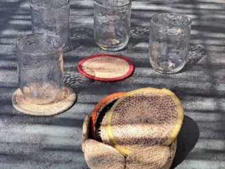 découvrez l'univers fascinant des verres de mer, ces trésors naturels issus de l'érosion des bouteilles et des déchets en verre. apprenez comment les verres de mer se forment au fil du temps et où les trouver sur les plages. un article captivant pour les amoureux de la nature et des promenades sur le littoral.